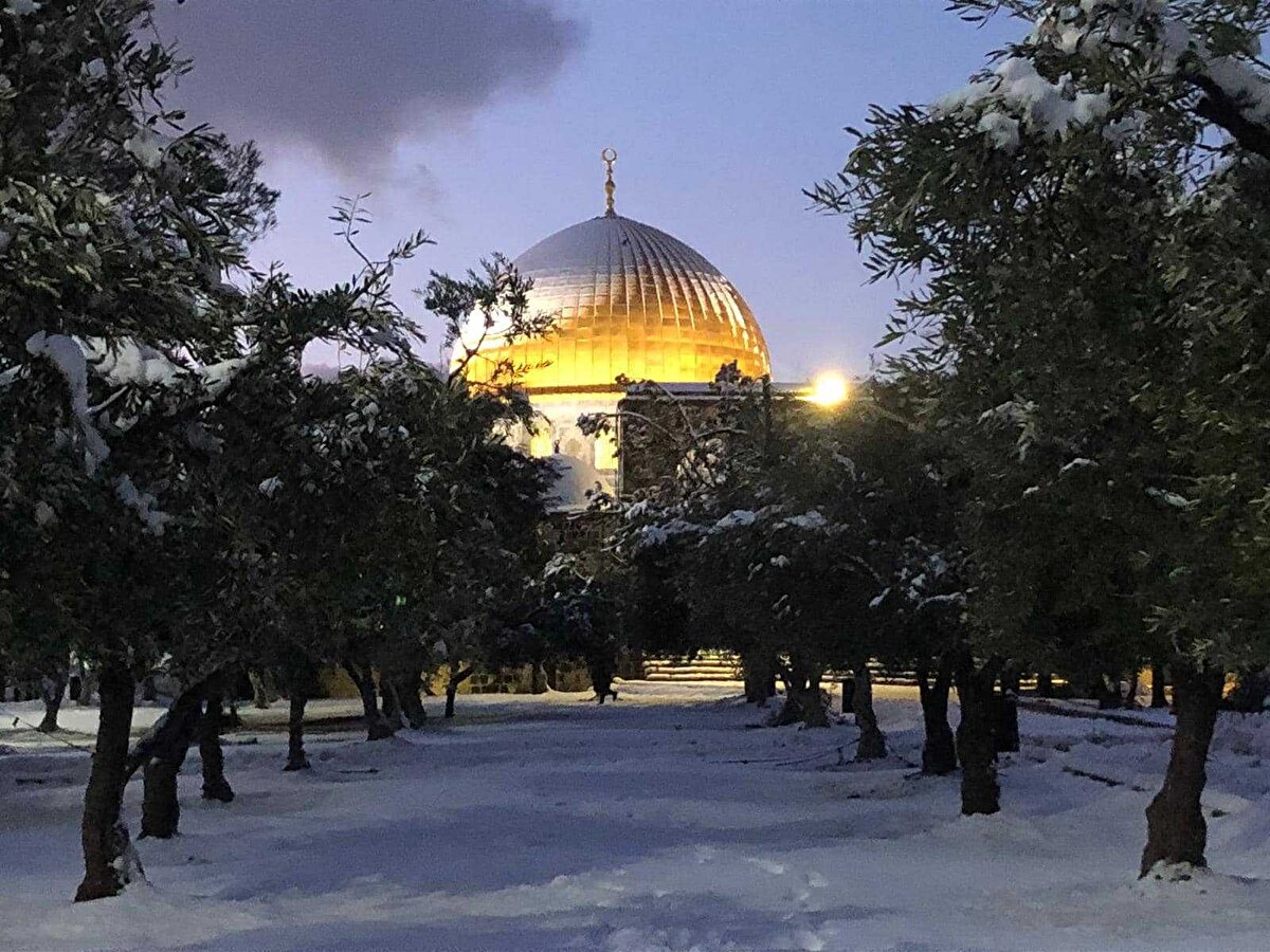 İşte diğer fotoğraflar...