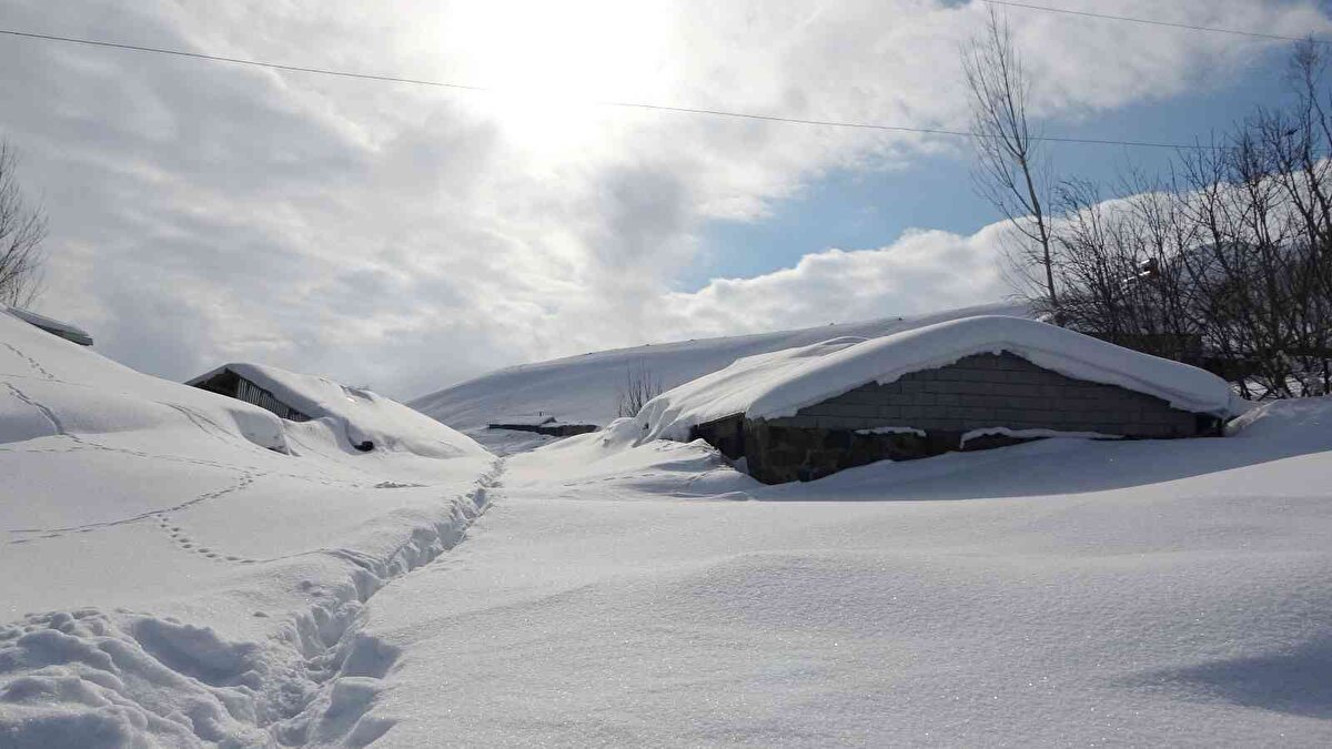 8-9 defa damda kar temizliği yaptıklarını vurgulayan vatandaşlardan Mustafa Yöndem ise “Artık kar atacak yer kalmadı. Bu sene 1,5-2 metre Kar Yağışı var herhalde. Bütün evler kara gömülmüş durumda. Hayat durdu. Damın üstündeki karı aşağı atıyoruz, evlerin önü kapandığı için bir de aşağı inip kapıların önünü temizliyoruz. Bunu yapmak zorundayız yoksa yollar kapanır ve insanlar geçemez. Evlerin önü fazla kapandığı zaman patika yollar yapıp aralardan öyle gidip geliyoruz” diye konuştu.<br><br>