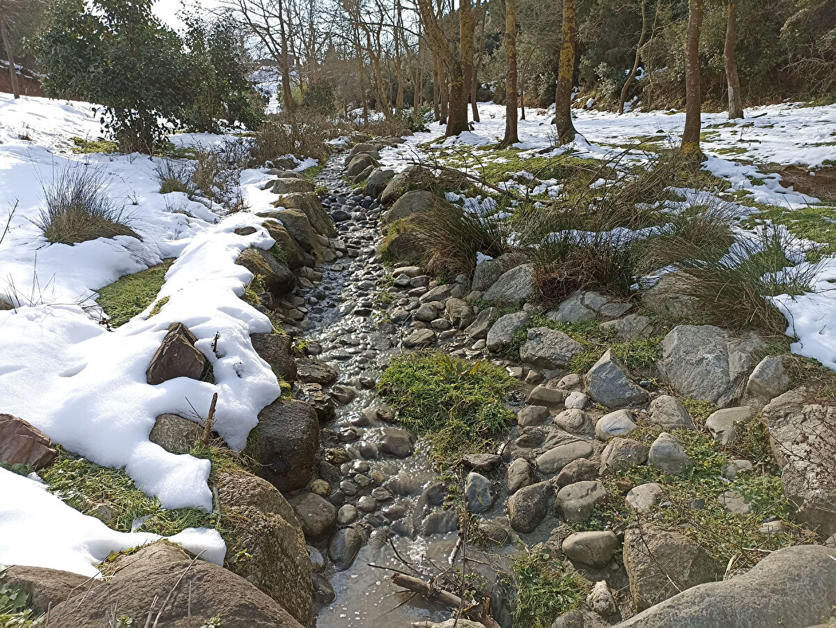 İstanbul'un barajlarındaki son doluluk oranları<br>
