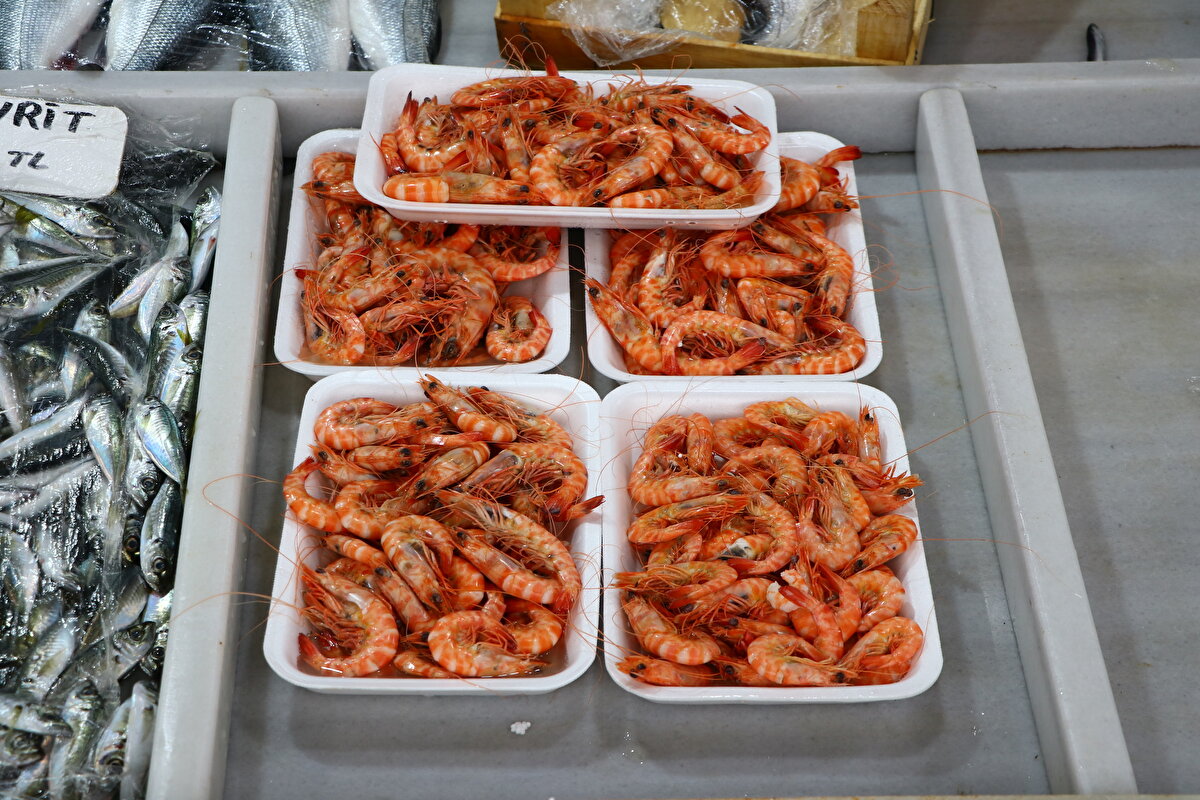 Süleymanpaşa Su Ürünleri Kooperatifi Başkanı İbrahim Pehlivanoğlu, balıkçıların ağlarına takılan karideslerin yüzleri güldürdüğünü söyledi.