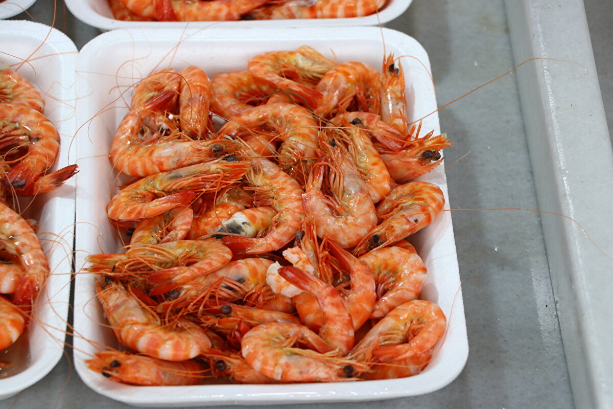 Karides tezgahlarda kilogramı 60 liradan satılıyor.