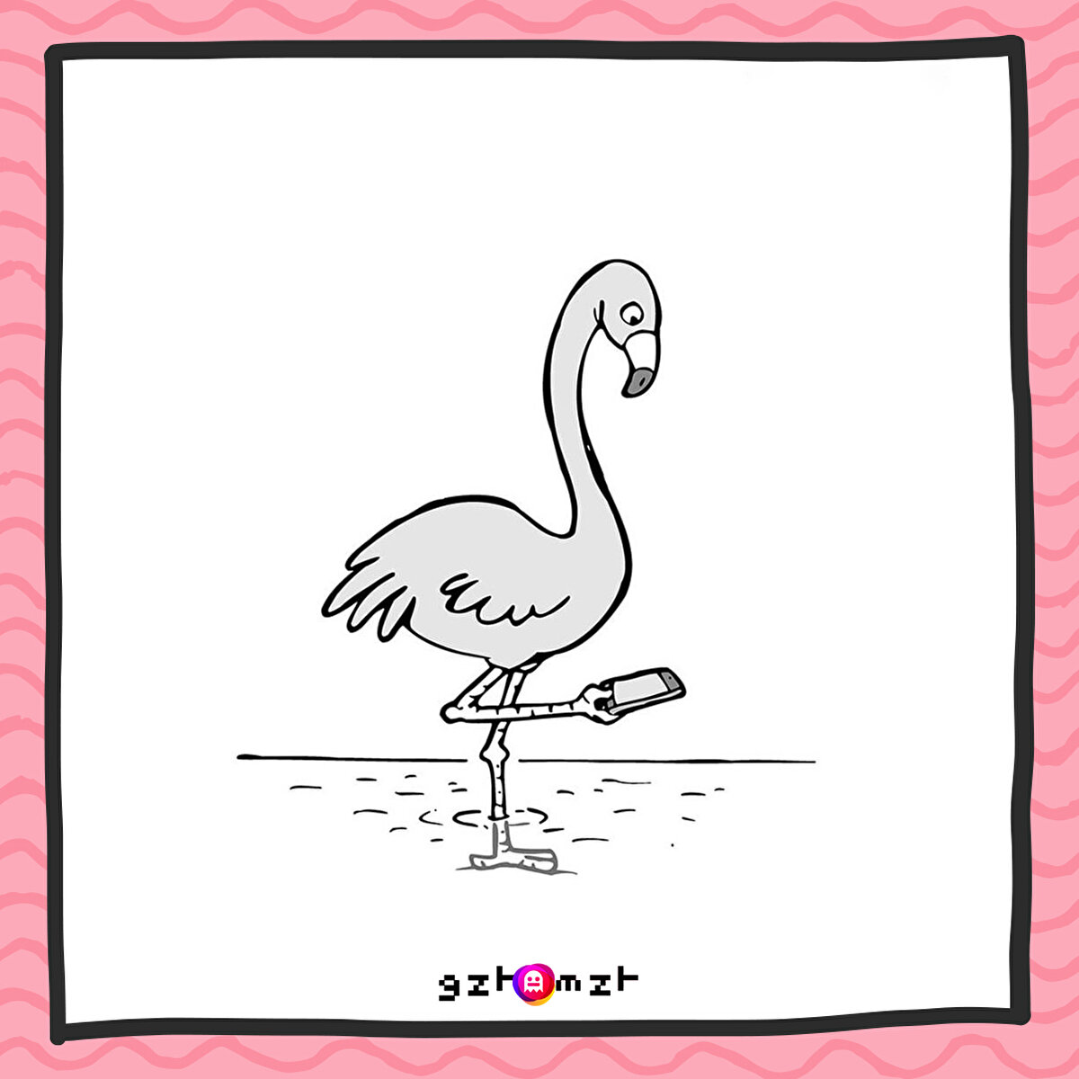 Z kuşağı flamingosu