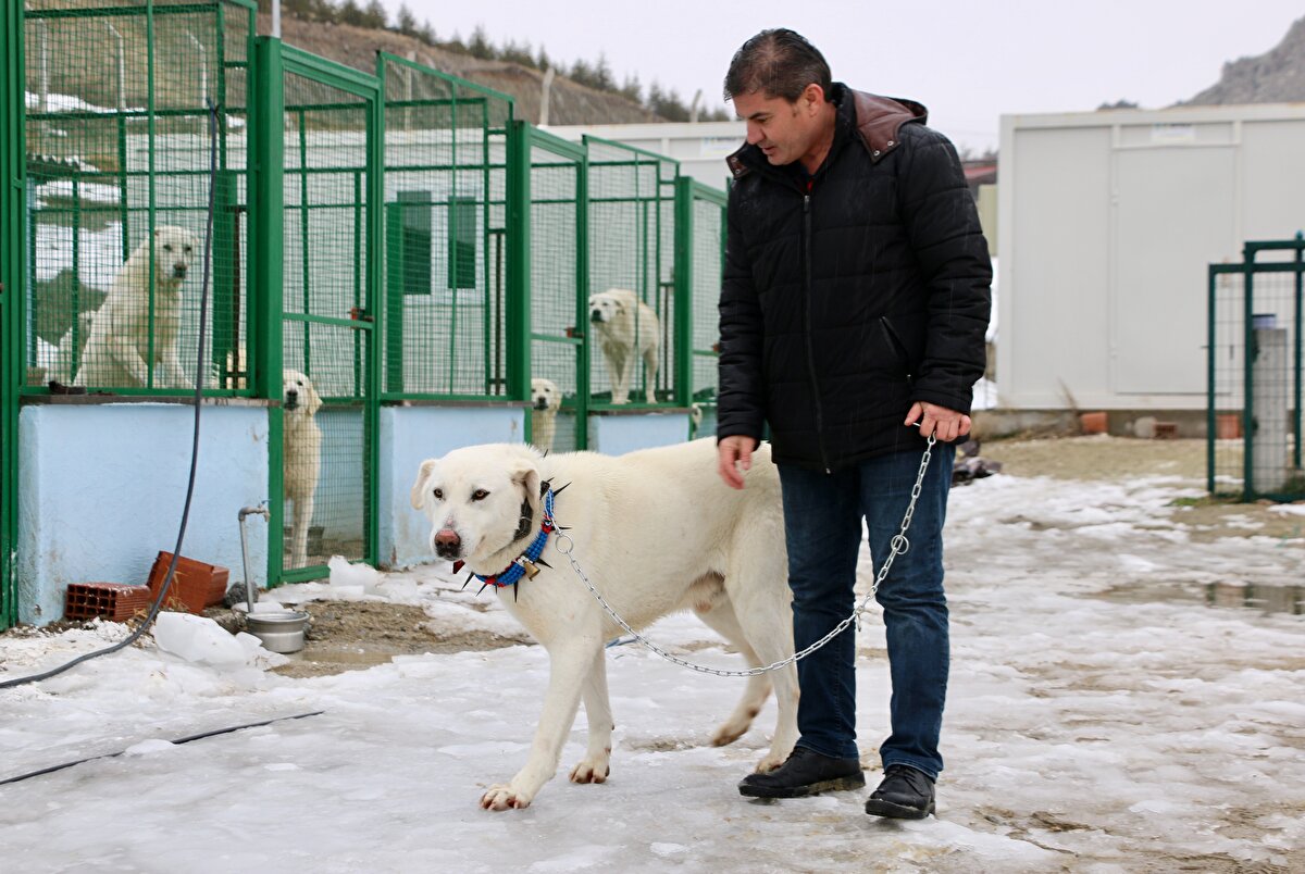 Şimdiye kadar 13 yavrunun dünyaya geldiği merkezde sene sonuna kadar 150 yavrunun doğması bekleniyor.