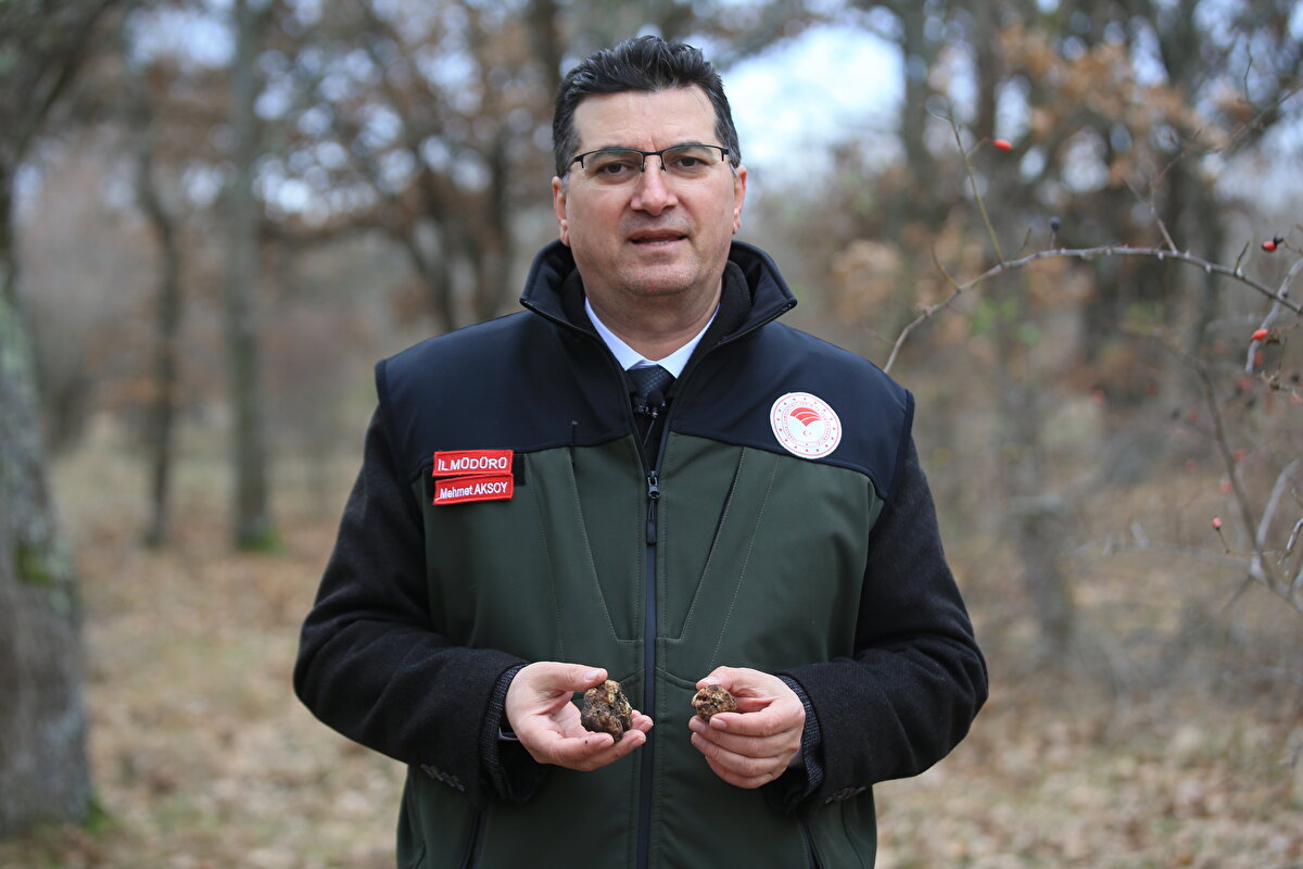 Trüfün gıda sektöründe aromasından dolayı çok arandığını vurgulayan Arslan, "Hava şartlarını da göz önünde bulundurduğumuz da bazı günler yarım, bazı günler tam çalışıyorum. Özellikle kış aylarında çıkan türlerin ekonomik değeri daha yüksek oluyor. Bazen günde 20-30 kilometre yürüyoruz, çünkü az çıkan bir bölgede bütün vakti geçiremezsiniz." ifadelerini kullandı.<br><br>