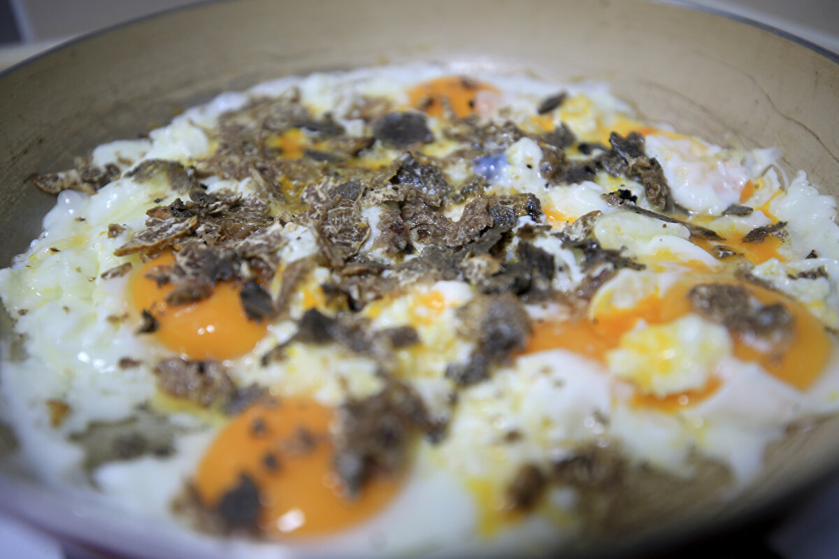 Trüf mantarının "kralların yiyeceği" olarak bilindiğini hatırlatan Aksoy, "Az miktarda bulunduğu ve besleyici olduğu için trüf çok kıymetli. Suudi Arabistan, İngiltere, Fransa gibi ülkelere ihraç ediyoruz. Müdürlüğümüzün aşılamasıyla toprağa enjekte edilen misellerden oluşan mantarlar köpekler yardımıyla profesyonel kişilerce toplanıyor. Sonra da ihracatını yapıyorlar" diye konuştu.<br><br>