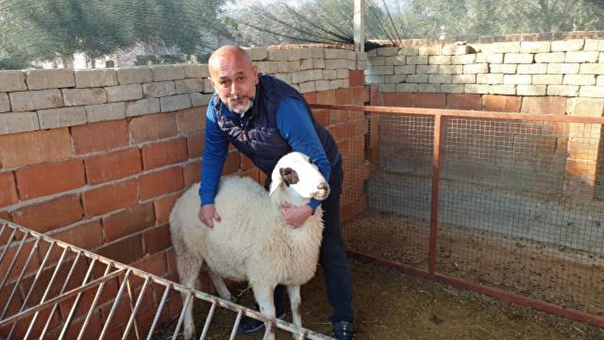 <br>Keçinin sahibi Zahide Şahin duruma çok şaşırdıklarını ifade ederek, "Ben bu keçiyi geçen sene iki oğlağı ile almıştım. Bu sene gebe kaldı. Sabahleyin saat 07.00'de yanına girdiğimizde gördük ki bir kuzu, 2 oğlak olmuş. Şaşkın kaldık. Veterinere sorduk. Hiç duymadık, görmedik dediler. Onlar da şaşırdılar. Merak eden herkes bakmaya geldi. İlk defa böyle bir olayla karşılaştık" diye konuştu.<br><br>Sabah annesinin telefonla kendisini çağırması ile eve geldiğini ve bu ilginç durumla karşılaştığını ifade eden Zahide Şahin'in oğlu Mustafa Şahin ise, "Sabah işte bir telefon trafiği yaşadık. Annem aradı, dedi 'oğlum böyle böyle bir durum var.' Geldik baktık şaşırdık tabi. Keçiden 2 tane oğlak bir tane kuzu çıkmış. Tabi diğer koyunlarla aynı yerde kaldıkları için diğer koyunlara da baktık doğum yapan var mı diye. Doğum yapan yok. Hepsi keçiden çıkmış. Tabi haliyle şaşırıyoruz. Veterineri aradık. Veteriner geldi baktı. Anormal bir durum, yani doğaüstü bir durum. Zaten 2 yıl önce bu keçiyi aldığımızda biraz böyle asabiydi. Böyle bir durum yaşandı yani. Çok şaşkınız. Böyle bir şeye hiç şahit olmamıştık. Duymamıştık, görmemiştik. Haliyle insan görmediği bir şeyi görünce duymadığı bir şeyi duyunca şaşırıyor. Durum bu" dedi.<br><br>