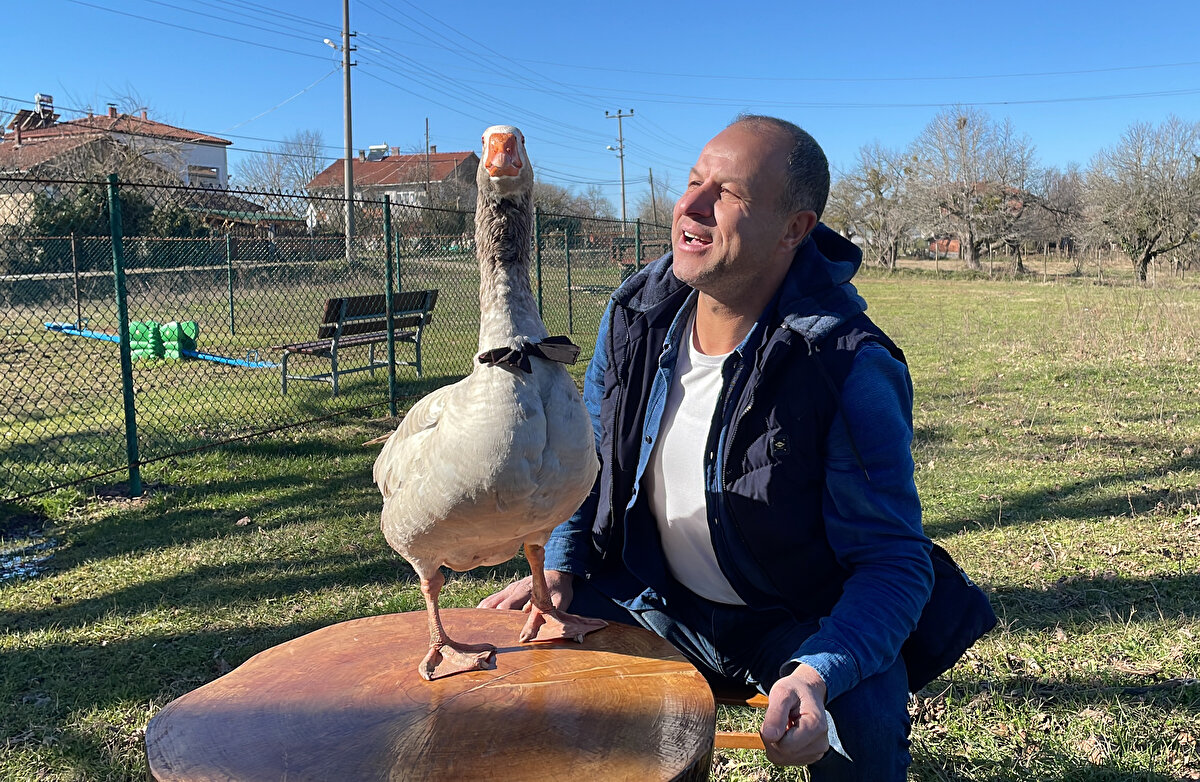 Kocaeli'nin İzmit ilçesi Süleymaniye köyünde yaşayan ve şoförlük yapan 47 yaşındaki Yılmaz Evcenler, 9 yıldır baktığı kazı çocuklarından ayırmıyor. <br><br>