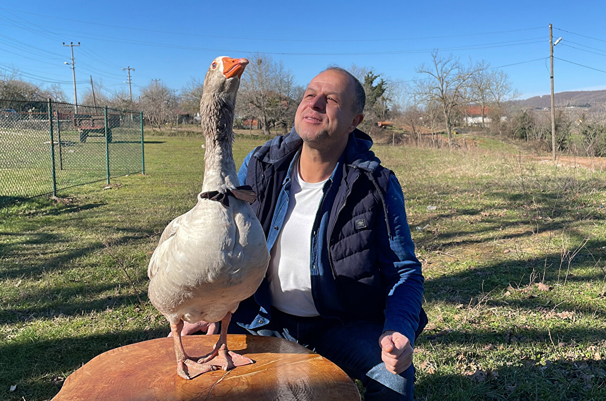 Cango ölmeden eve kaz almak yok. Tavuğum, horozum, tosunum, ineğim ve köpeğim de var ancak Cango’nun yeri ayrı" diye konuştu.