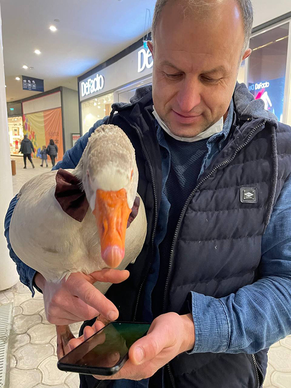 2018 yılında Cango ile Taksim’e gittiklerini dile getiren Yılmaz Evcenler, "Daha sonra Bebek Sahiline geçtik. Cango benim dışımda kimse ile gezmez.