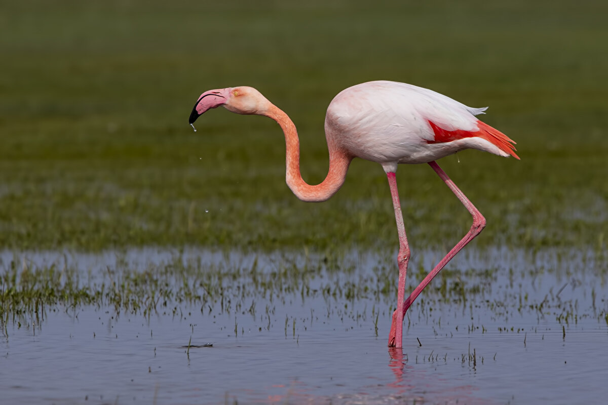 Aksaray, Ankara ve Konya bölgesinde yağışlar sonrası eriyen karların beslediği kanallardan suların göle ulaşmasıyla su seviyesi, yükselmeye başladı.<br><br>Aksaray Belediyesi de şehir merkezinden temizlenen karları, Tuz Gölü havzasını besleyen kanallara döküldü. 