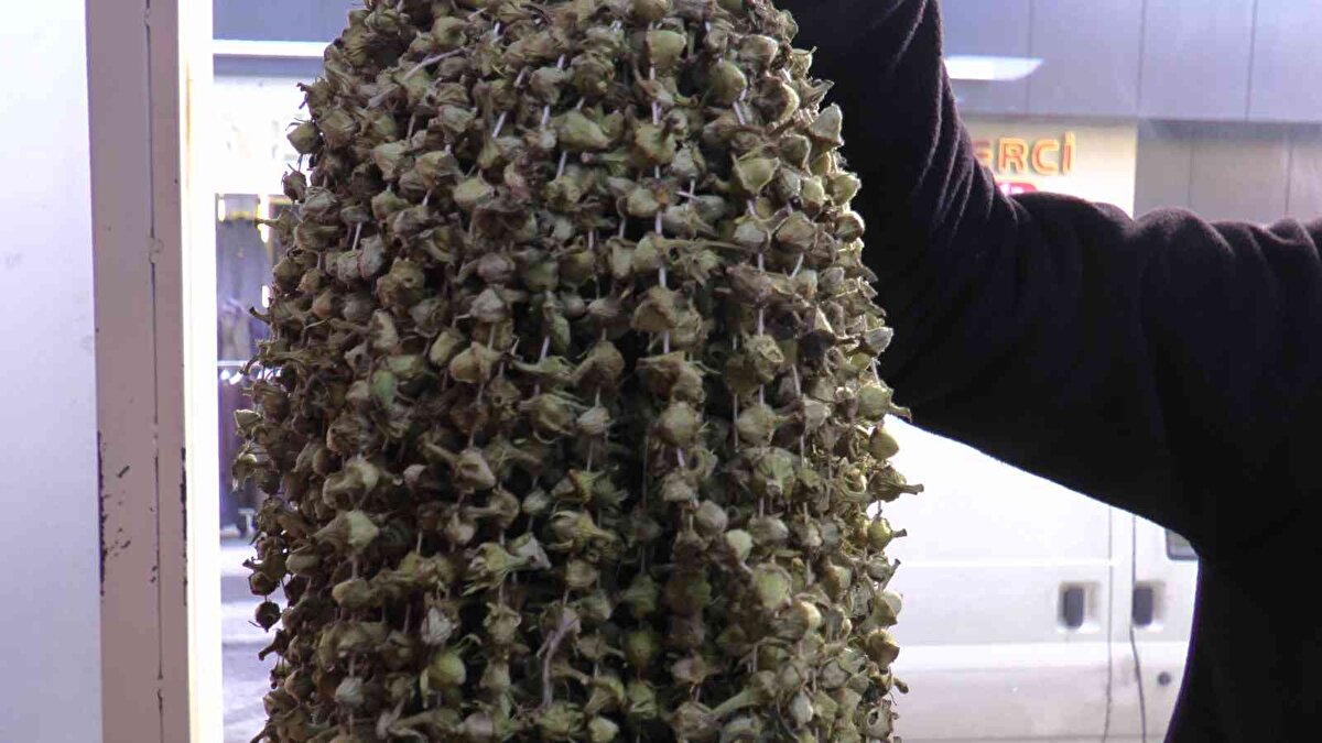 Çok olmasa da bir satış oranı ve fiyatına rağmen talep var. Özellikle gurbetçi zamanı daha çok talep oluyor" ifadelerini kullandı.