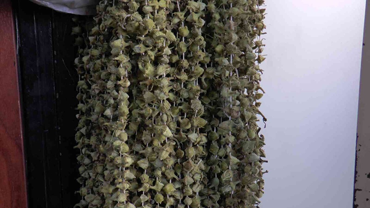 Şu anda bamyanın kilosu 400 TL civarında.