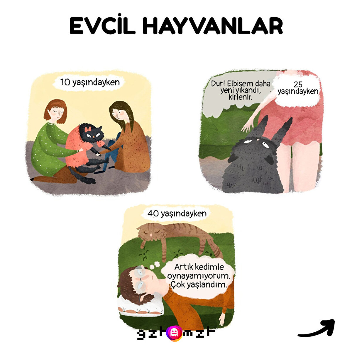 Burada değişken kedi bizce