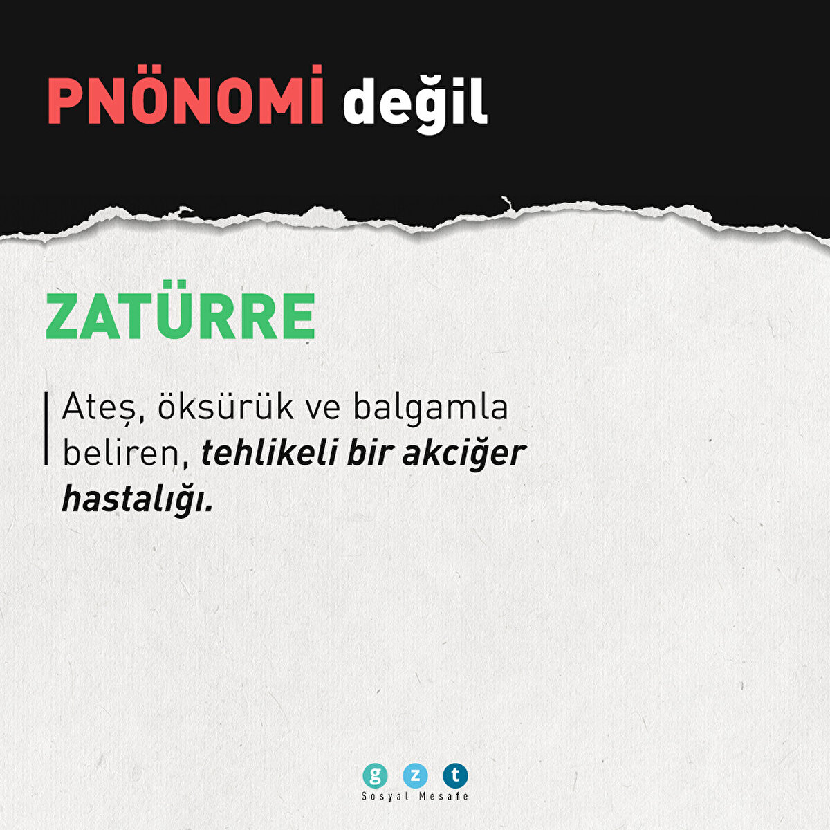 Pnönomi değil ZATÜRRE | Ateş, öksürük ve balgamla beliren, tehlikeli bir akciğer hastalığı