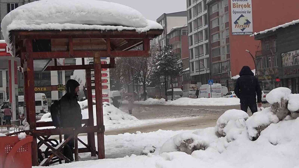 Kardan dolayı okula giderken çok fazla zorlandığını belirten Sıla Şahin isimli vatandaş, “Kayseri’den geldim ve orada bu kadar kar yok. İlk defa bu kadar güzel bir kar yağışı ile karşılaşıyorum. Benim için biraz zor oluyor. Ama buranın karı çok güzel. Kayseri’de bu kadar karı hiç görmemiştim. Okula giderken çok fazla zorlanıyorum. Ama bu kadar güzel beyazlık görmek çok hoşuma gidiyor.” şeklinde konuştu.