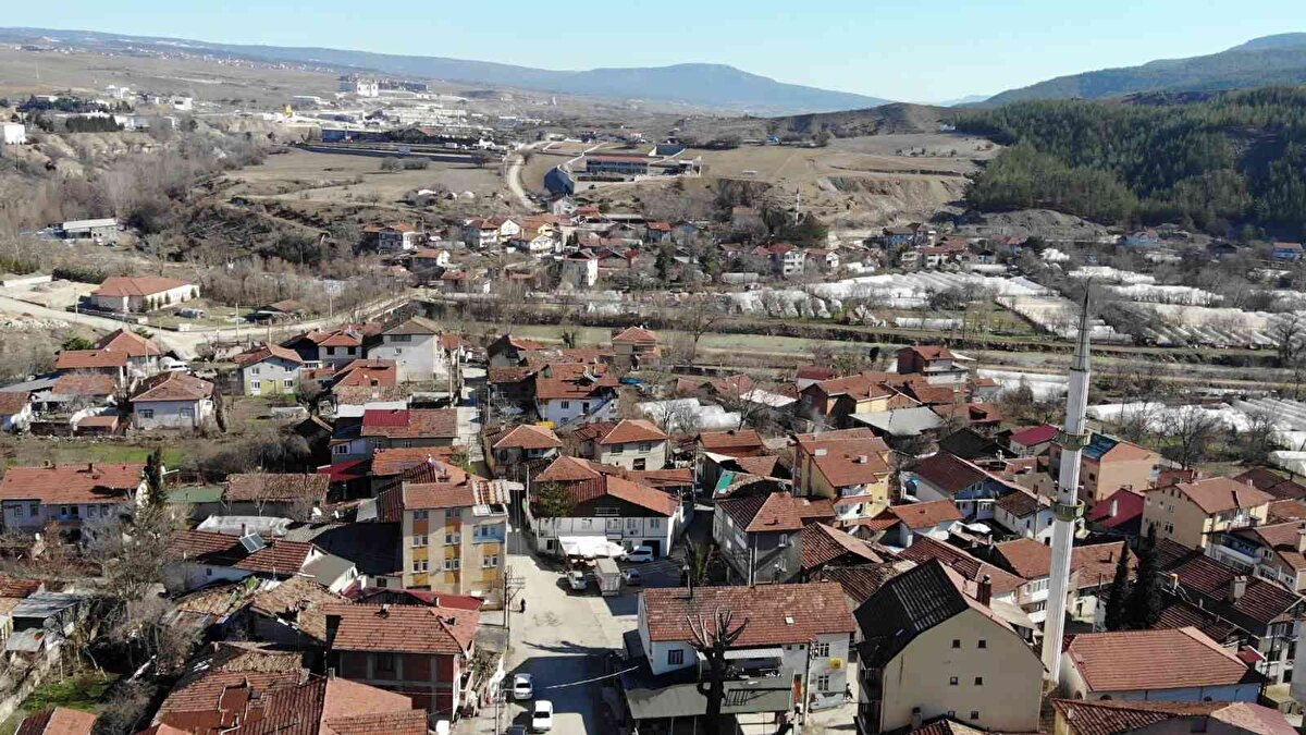 Bostanbükü Köyü 2019 yılında elde ettiği en kalabalık nüfusa sahip olan köy unvanını 2021 yılında 6 bin 90 nüfusa sahip Şırnak'ın Cizre ilçesine bağlı Dirsekli köyüne kaptırdı. Sanayi sitesi ile ünlü tekstil firmalarının da bulunduğu köy, şehre yakın olması nedeniyle göç vermeyen bir yapıya sahip.