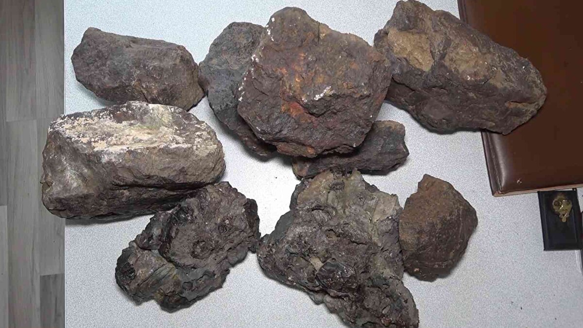 Eski kavak ağaçlarının köklerinden mantar toplamak için araziye çıktığını anlatan Baran, mantar bulamayınca tarlasını kontrole gittiğini ve değişik yapısı olan taşları gördüğünü ifade ederek, şunları kaydetti: