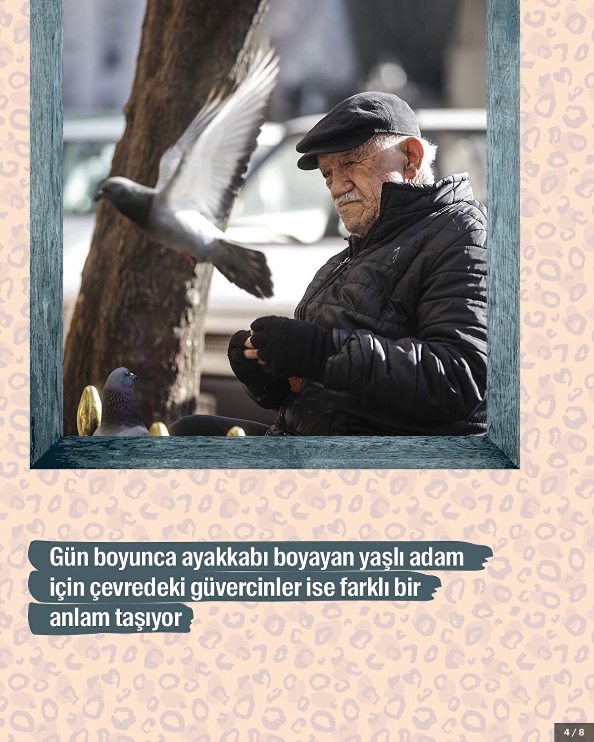 Gün boyunca ayakkabı boyayan yaşlı adam için çevredeki güvercinler ise farklı bir anlam taşıyor.