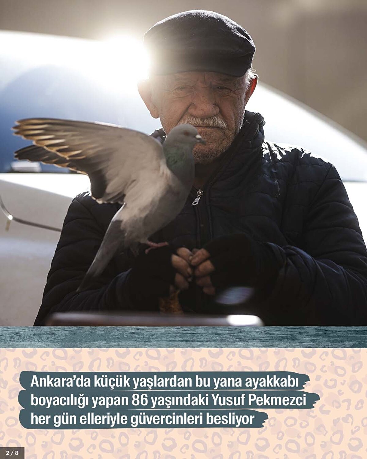 Ankara’da küçük yaşlardan bu yana ayakkabı boyacılığı yapan 86 yaşındaki Yusuf Pekmezci her gün elleriyle güvercinleri besliyor.