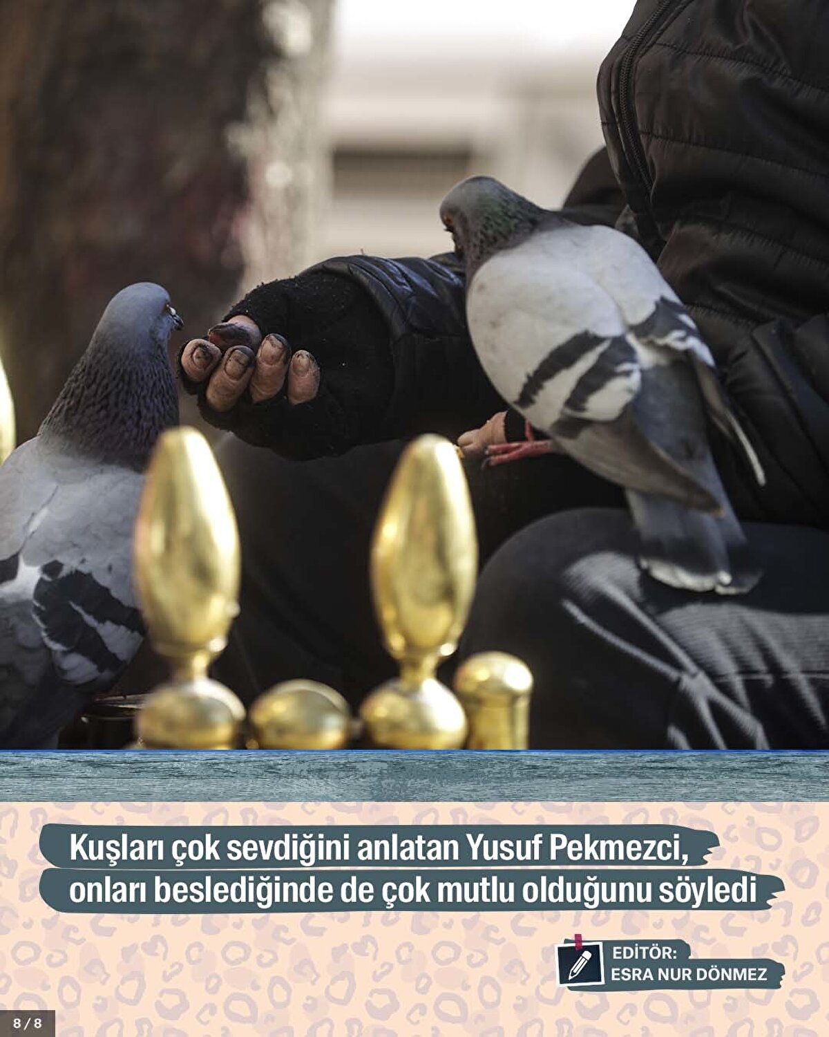 Kuşları çok sevdiğini anlatan Yusuf Pekmezci, onları beslediğinde de çok mutlu olduğunu söyledi.