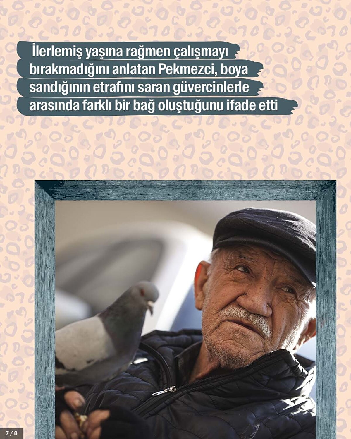 İlerlemiş yaşına rağmen çalışmayı bırakmadığını anlatan Pekmezci, boya sandığının etrafını saran güvercinlerle arasında farklı bir bağ oluştuğunu ifade etti.