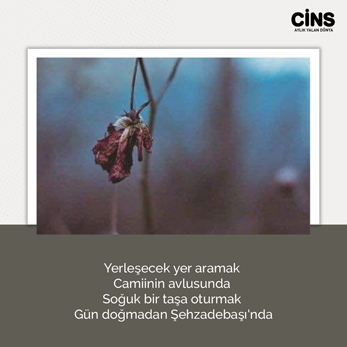 Yerleşecek yer aramak <br>Camiinin avlusunda <br>Soğuk bir taşa oturmak <br>Gün doğmadan Şehzadebaşı'nda<br>