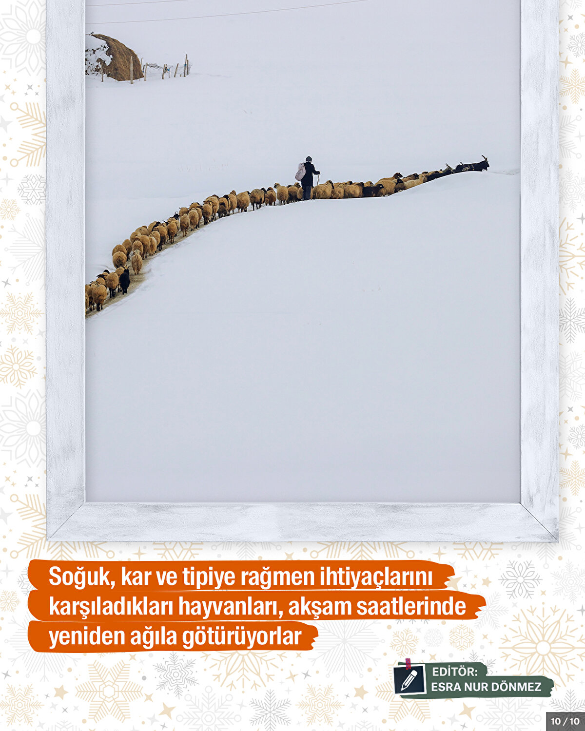 Soğuk, kar ve tipiye rağmen ihtiyaçlarını karşıladıkları hayvanları, akşam saatlerinde yeniden ağıla götürüyorlar.