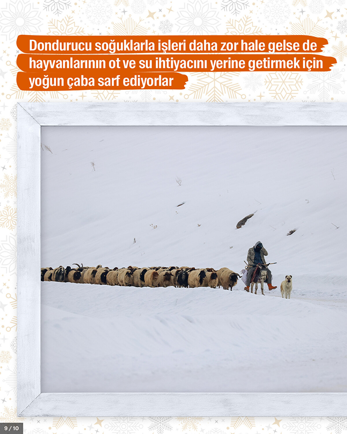 Dondurucu soğuklarla işleri daha zor hale gelse de hayvanlarının ot ve su ihtiyacını yerine getirmek için yoğun çaba sarf ediyorlar.