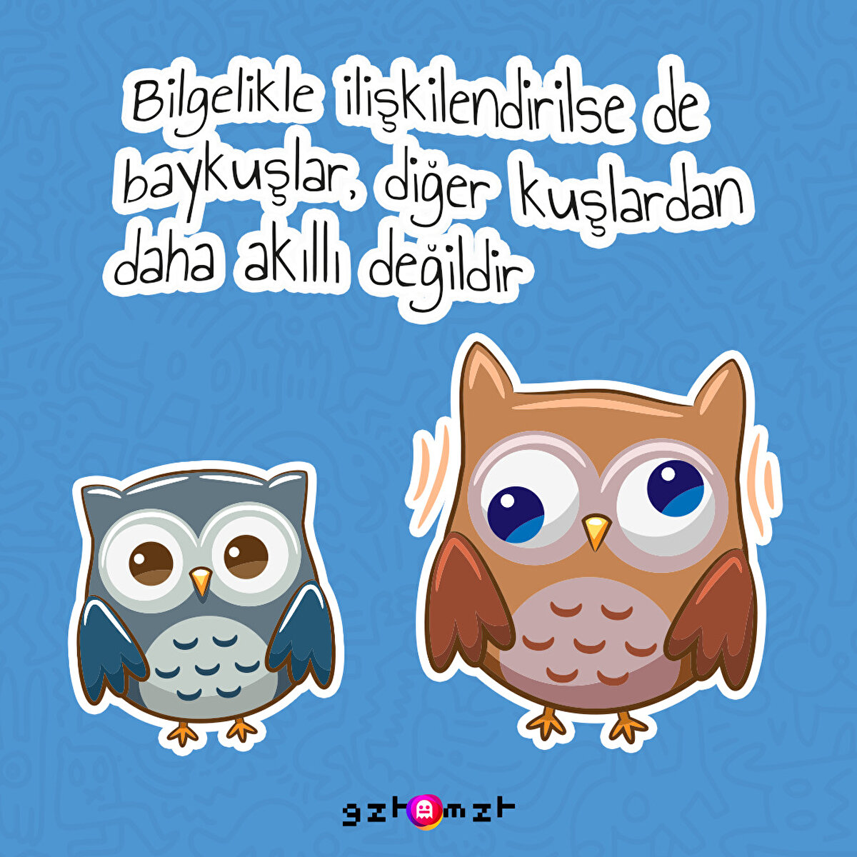 Bay-kuş demek zor artık