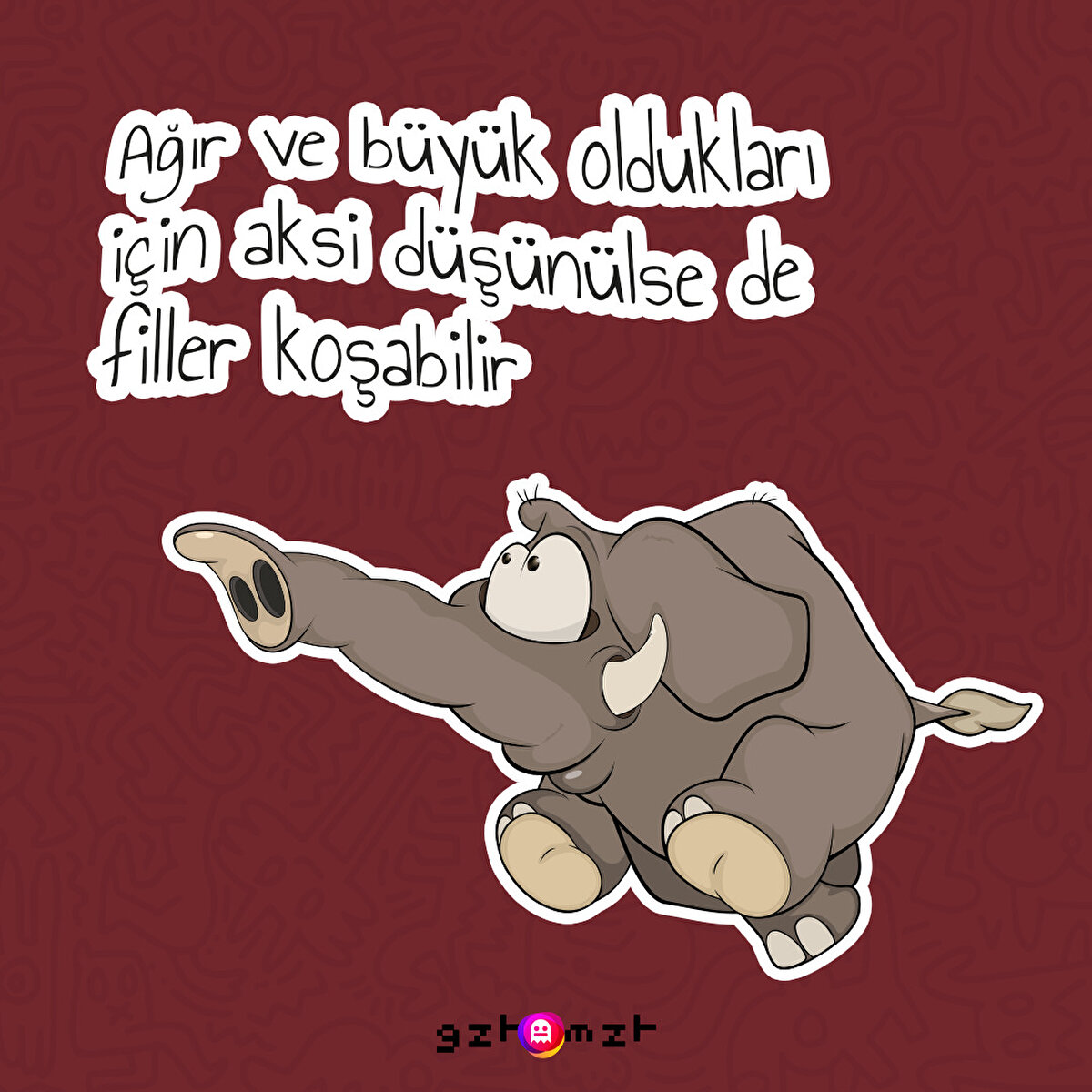 Hayat kısa filler koşuyor