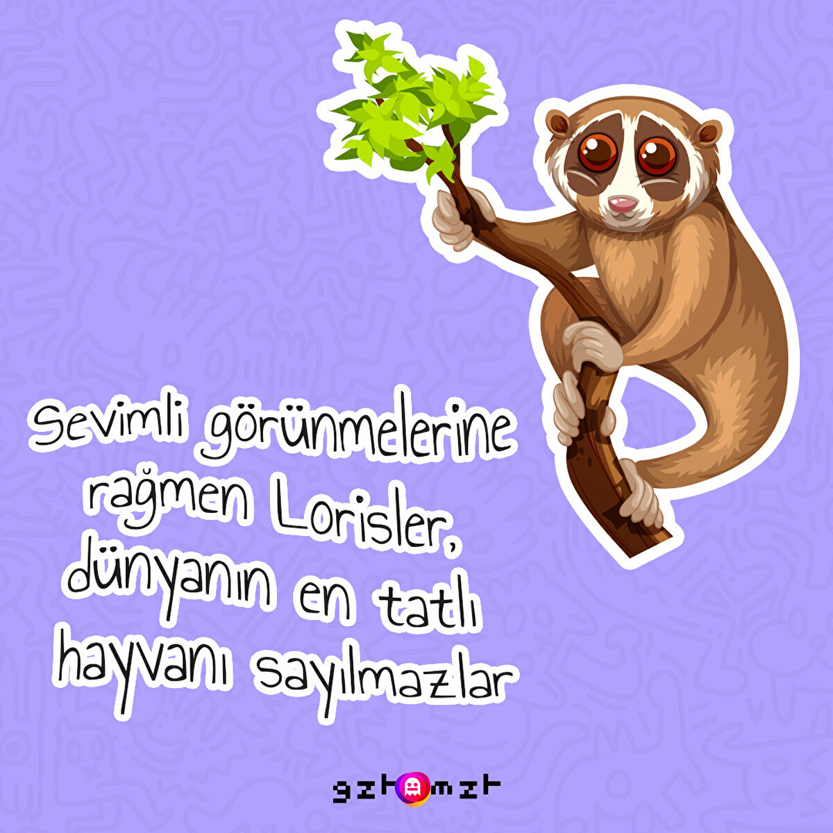 Bir şey olduğu belliydi