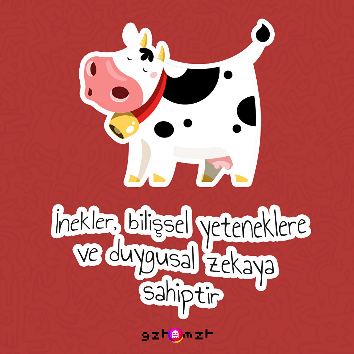 İşte bunu biliyorduk