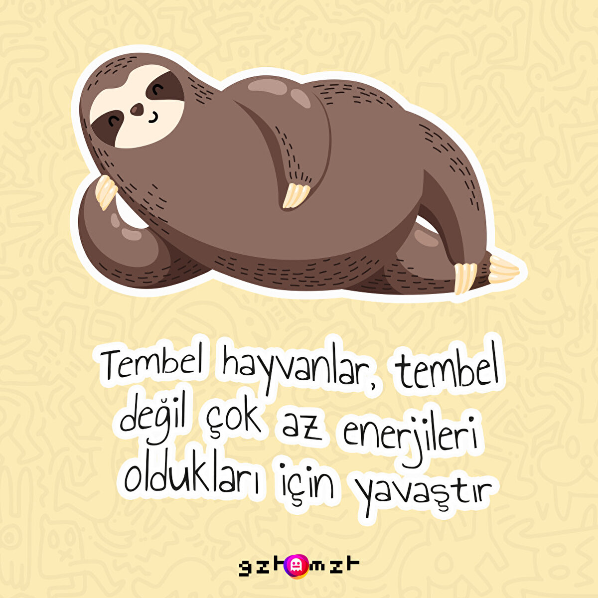 Biz de başka bir şey sanmıştık