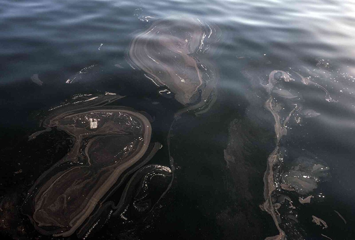 Deniz Salyası olarak da bilinen Müsilaj geçtiğimiz yıl Mart ayında Marmara ve Ege Denizi’nde ortaya çıktı. Marmara Denizi'nin müsilaj ile kaplanması ile bölgedeki balıkçılar olumsuz etkilenmişti.<br><br>