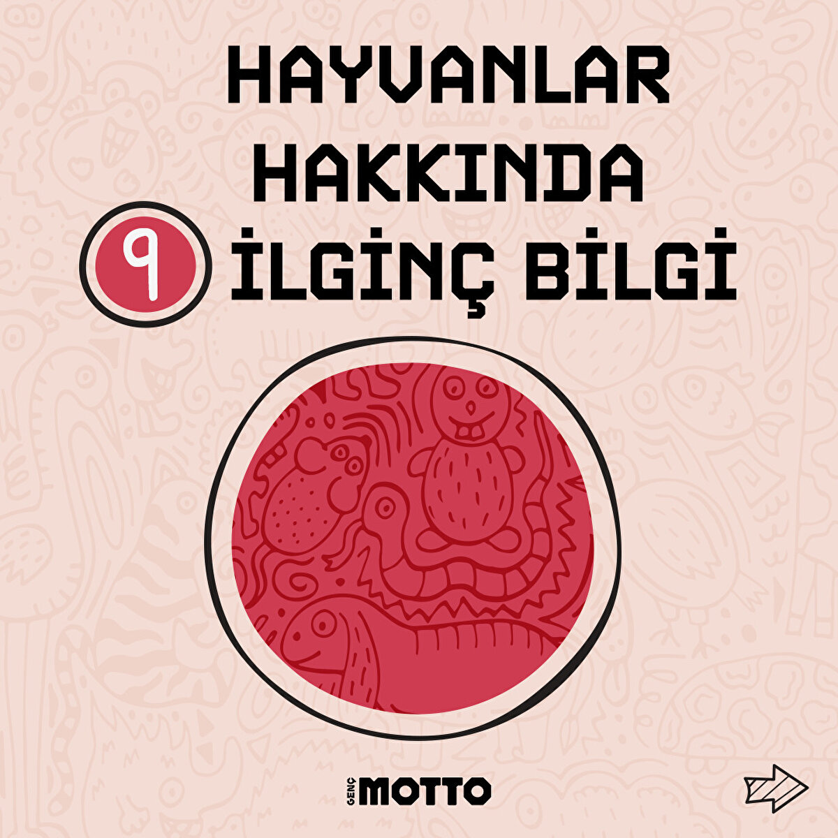 Hayvanlar hakkında 9 ilginç bilgi 