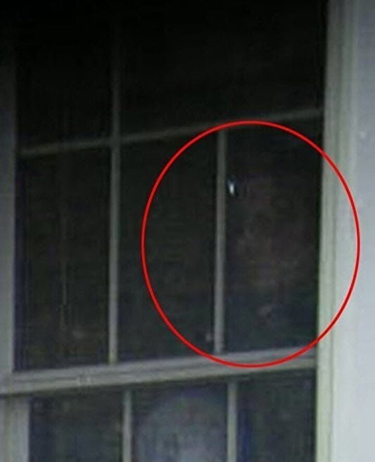 Bir anne ve çocukları, doğum günü için bir araya gelmişlerdi. Evlerinin hemen önünde fotoğraf çekildiler, ancak fotoğrafa baktıkları zaman evin içinde birinin onları izlediğini fark etti. İddiaya göre evin içinde kimse yoktu, tüm aile fertleri doğum gününü kutlamak için bahçeye çıkmıştı.<br>