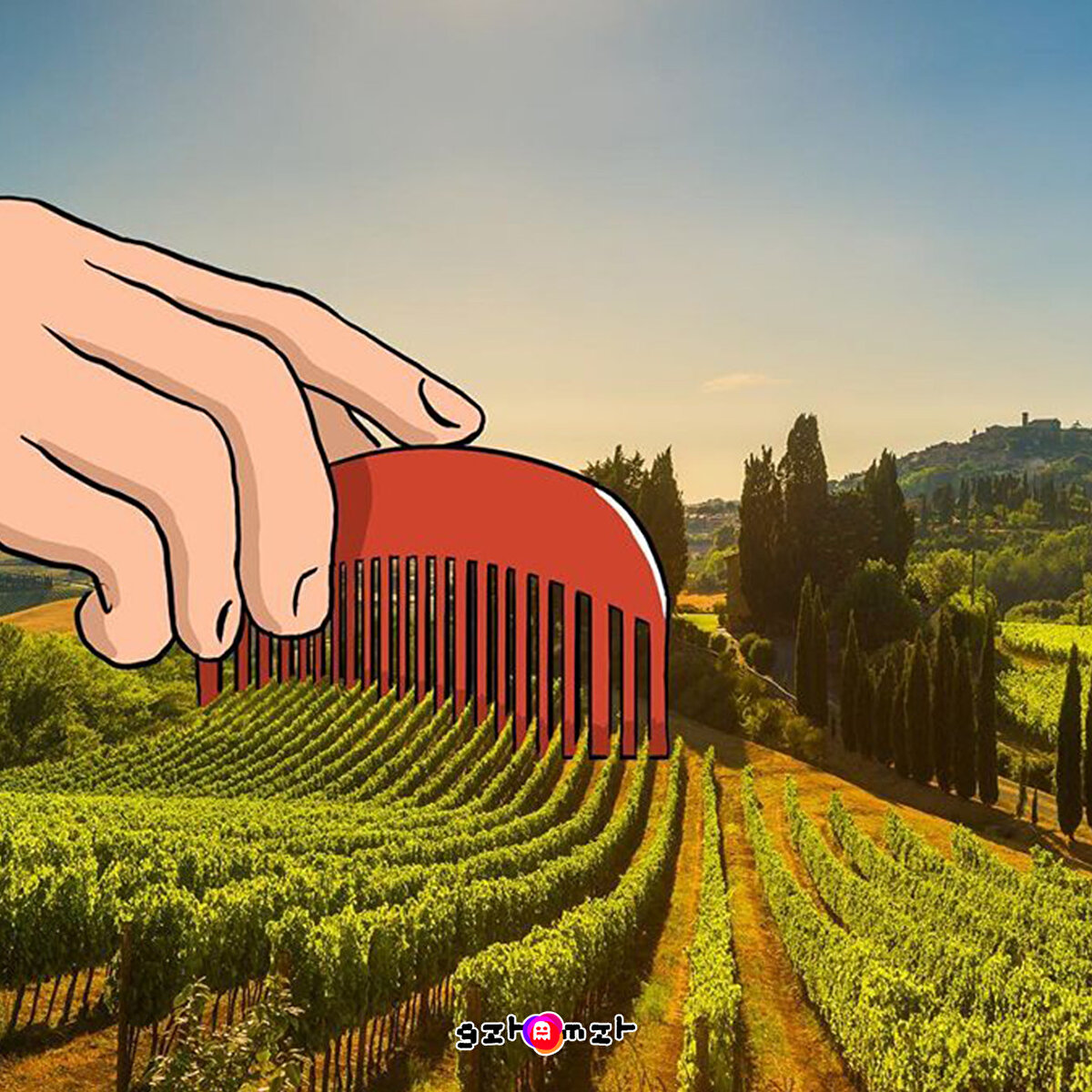 Tarağın dişleri biraz sık değil mi