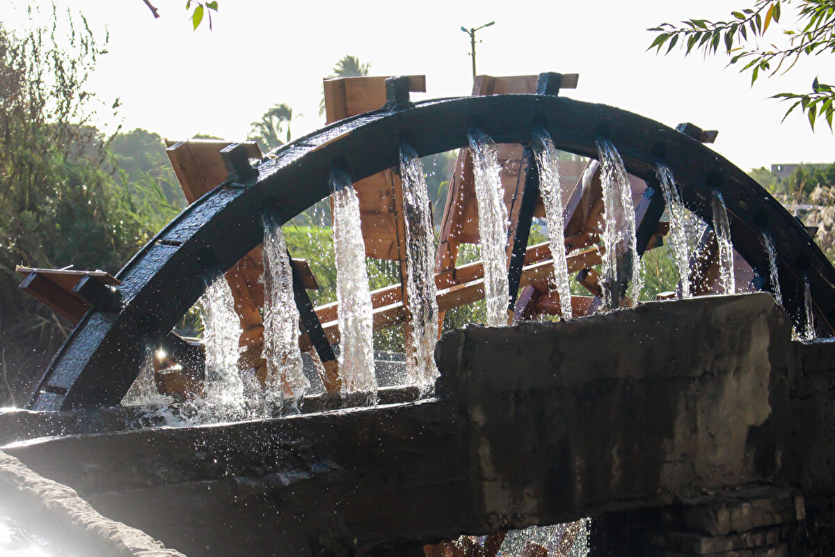 Su çarkları, arazilerin sulanmasındaki işlevselliğinin yanı sıra gündelik hayatta ve Mısır kültüründe önemli bir yer tutuyor.