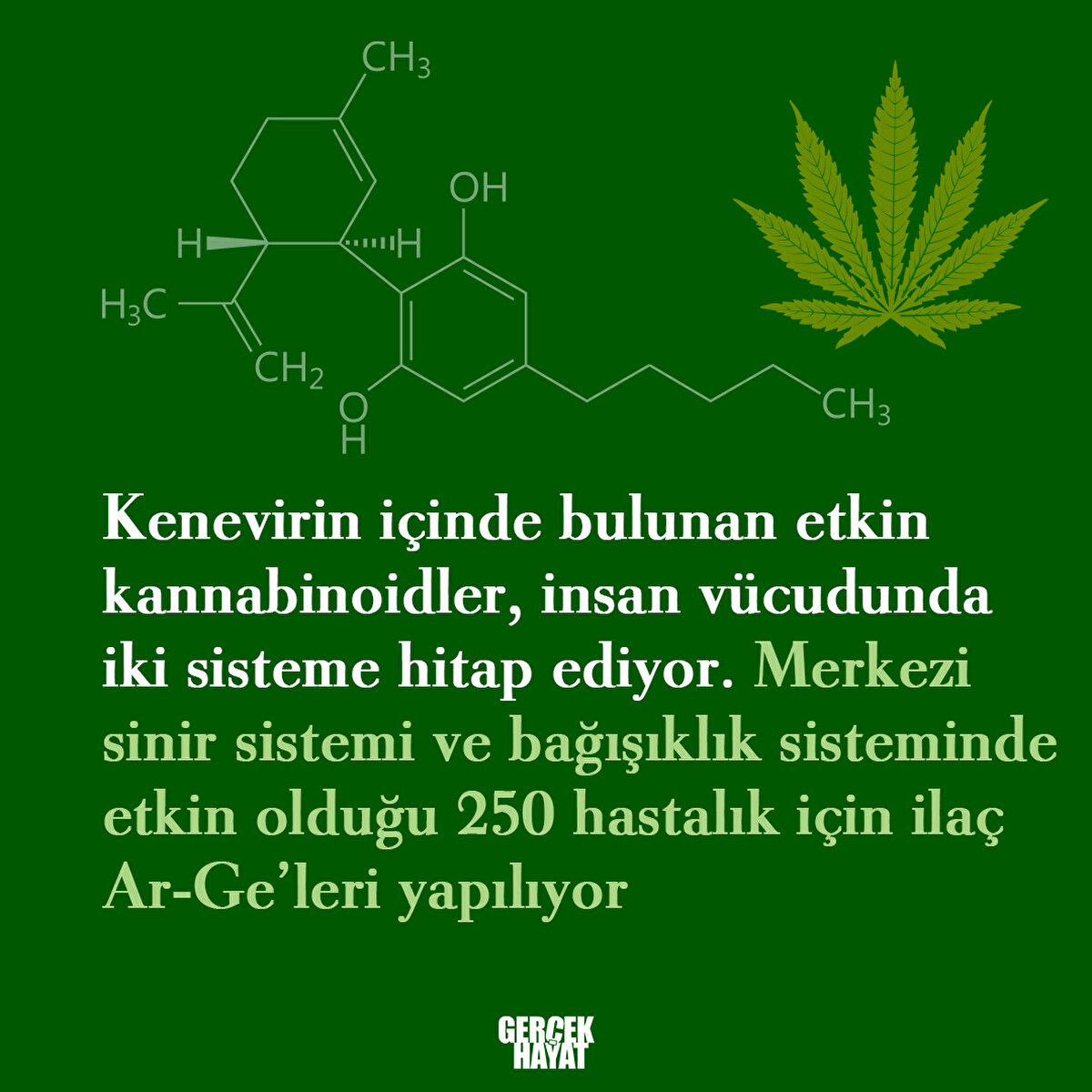 Merkezi sinir sistemi ve bağışıklık sisteminde etkin olduğu 250 hastalık i&#231;in ila&#231; Ar-Ge’leri yapılıyor