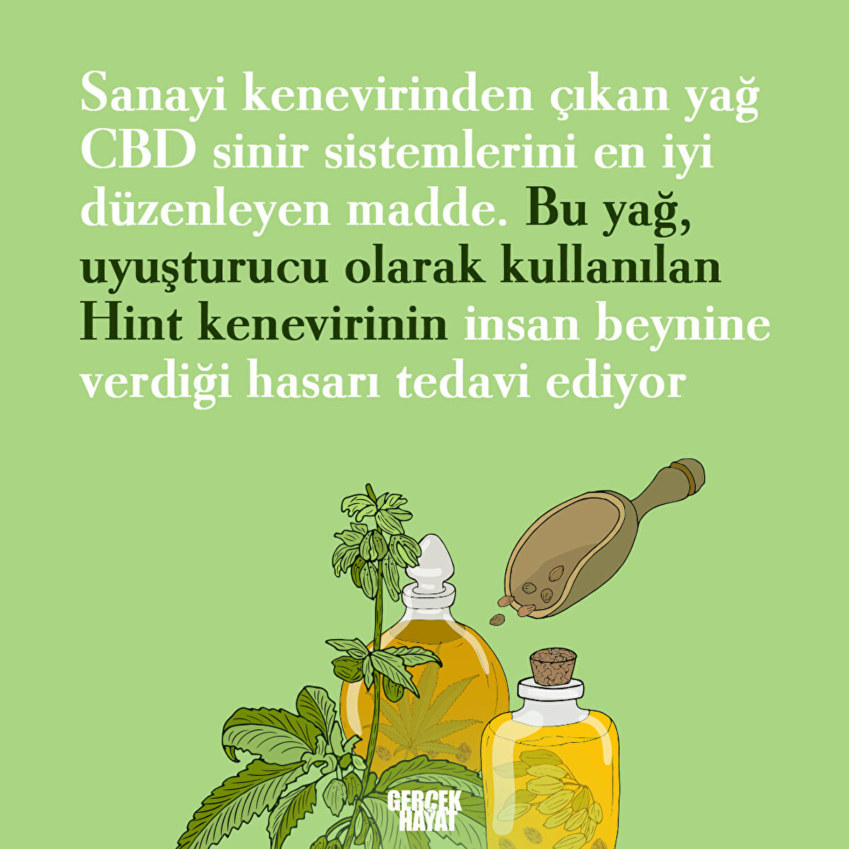 Sanayi kenevirinden çıkan yağ CBD sinir sistemlerini en iyi düzenleyen madde