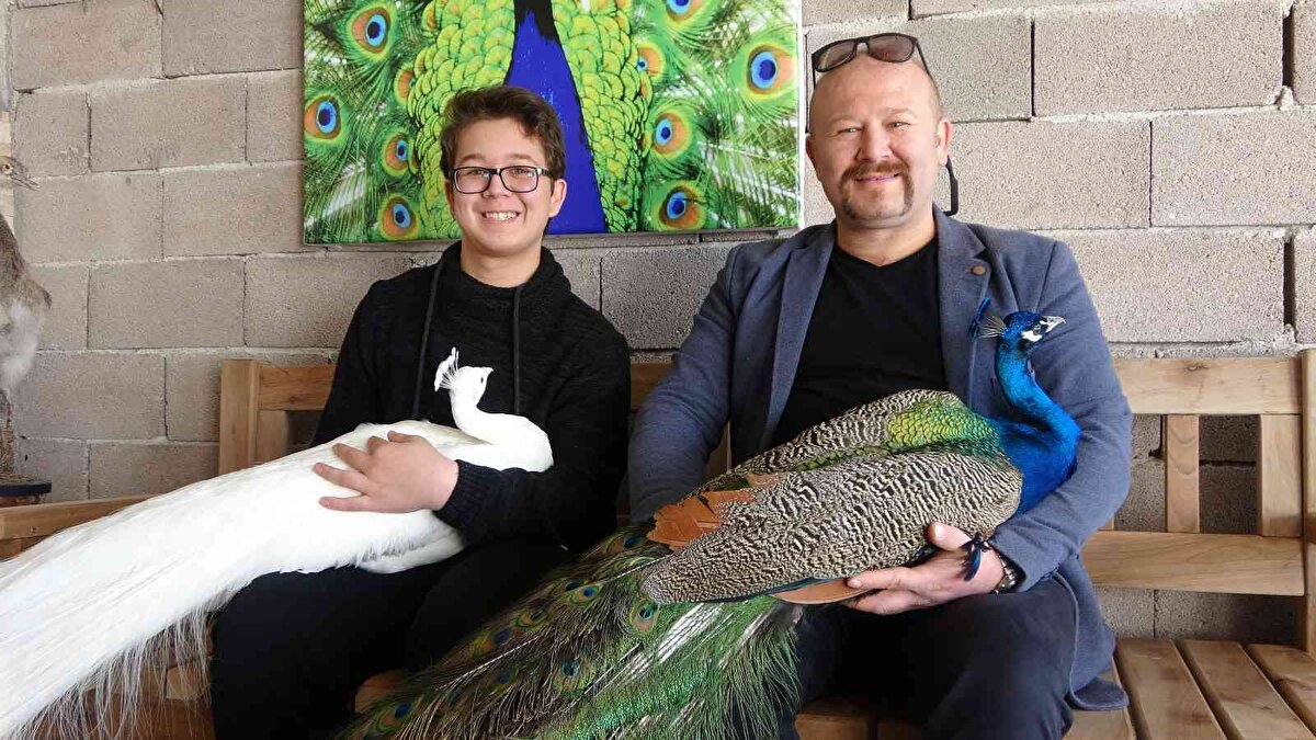 Ramazan Sarı (41), çocukluktan gelen kuşlara merakı nedeniyle mesleği elektrik teknikerliğini bırakarak egzotik hayvan yetiştiricisi olmaya karar verdi. Çocukluğunda apartman dairesine kümes yaparak kanatlı hayvan besleyen Ramazan Sarı, Uşak'ın Banaz ilçesinde bir çiftlik satın aldı.