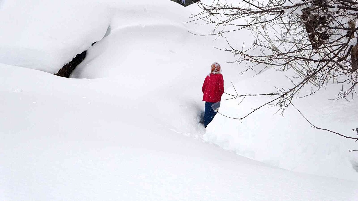 “Evden tünel açarak çıktım” - Vatandaşlardan Ahmet Çamtosun da birkaç gündür köyde sürekli kar yağışı yaşandığını vurgulayarak, “Evden çıkamıyoruz. Sabah evden tünel açarak çıktım. Kara gömüldük. İki metreden fazla kar var. Yazı beklerken kış bizi yakaladı. Mahvolduk. Hayvanların yemi de bitti. Son zamanlarda ilk kez bu kadar kar gördüm” ifadelerini kullandı.<br>