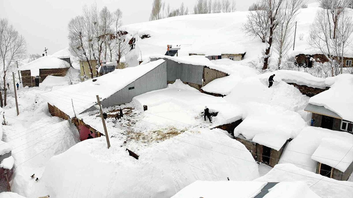 Ev, ahır, iş makineleri, araçlar ve yemlerin tamamen kar altında kaldığı köyde, adeta kar esareti yaşanıyor. Yaklaşık bir haftadır kar yağışının aralıklarla devam ettiği köyde, iş makinelerinin giremediği sokaklar vatandaşlar tarafından küreklerle açılıyor.<br>