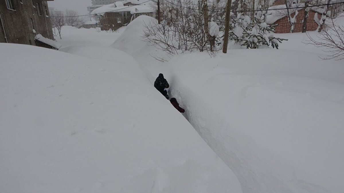 Bitlis'te yaklaşık bir haftadır yağan kar yağışı nedeniyle kent genelinde 302 köy yolu ulaşıma kapanırken, tek katlı evler ise kardan adeta kayboldu.