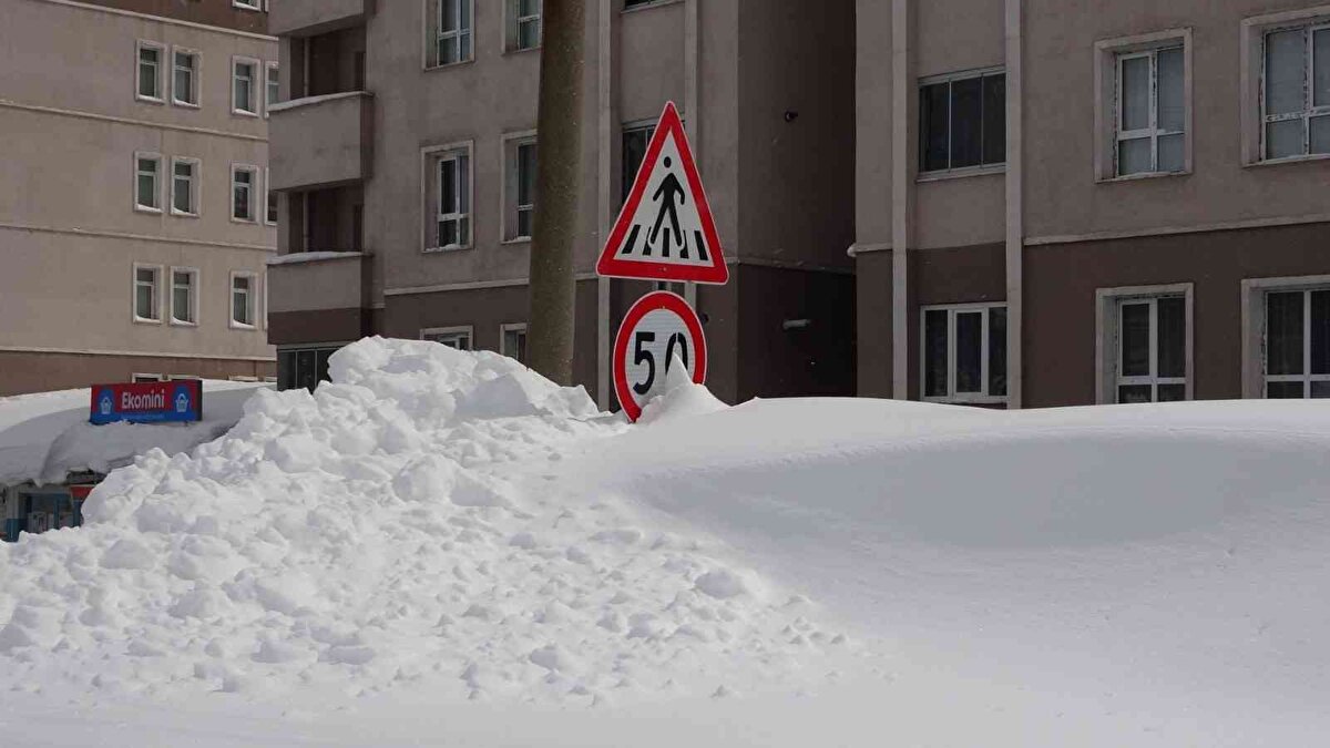 Yağan karın hayvanlar ve bitkiler için su deposu olduğunu belirten Mehmet Ali Akarsu ise "Mart ayının ortasında olmamıza rağmen memleketimizde kar yağışı hâlâ devam ediyor. Bu sene meteoroloji verilerine göre 8 metre kar yağmış durumda. Bu gidişle bahar biraz geç gelecek görünüyor. Bu yıl geçen seneye göre daha çok kar yağdı.