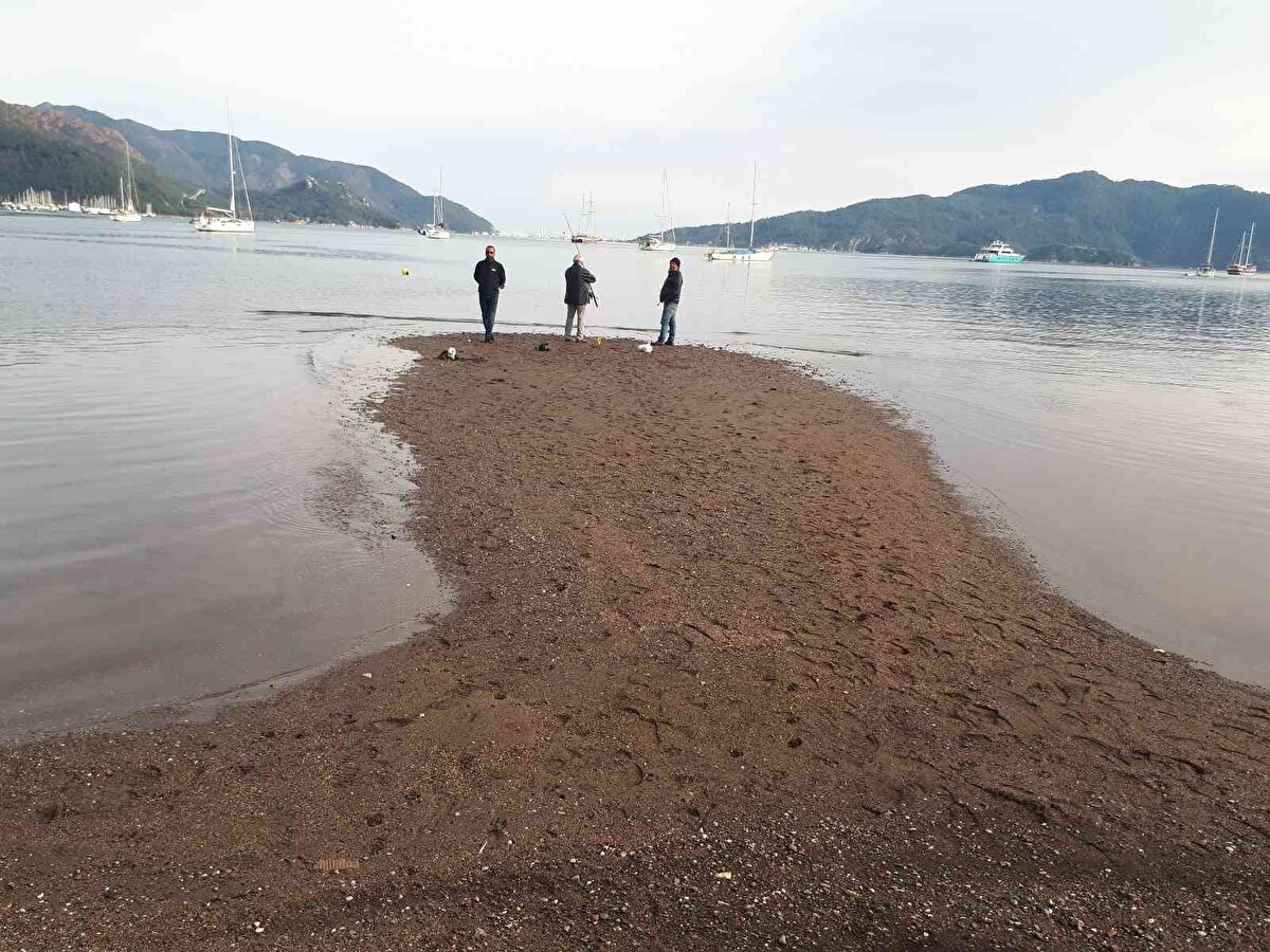 Sahilde oltayla balık avlayanlar, plajda manzara seyredenler ve yürüyüş yapanlar, denizin çekilmesiyle oluşan görüntüleri cep telefonlarıyla çekerek sosyal medyadan paylaştı. Olta balığı tutkunları oluşan adacıklarda hem hobilerini gerçekleştirdi hem de eşsiz manzaranın keyfini çıkardı.<br><br>