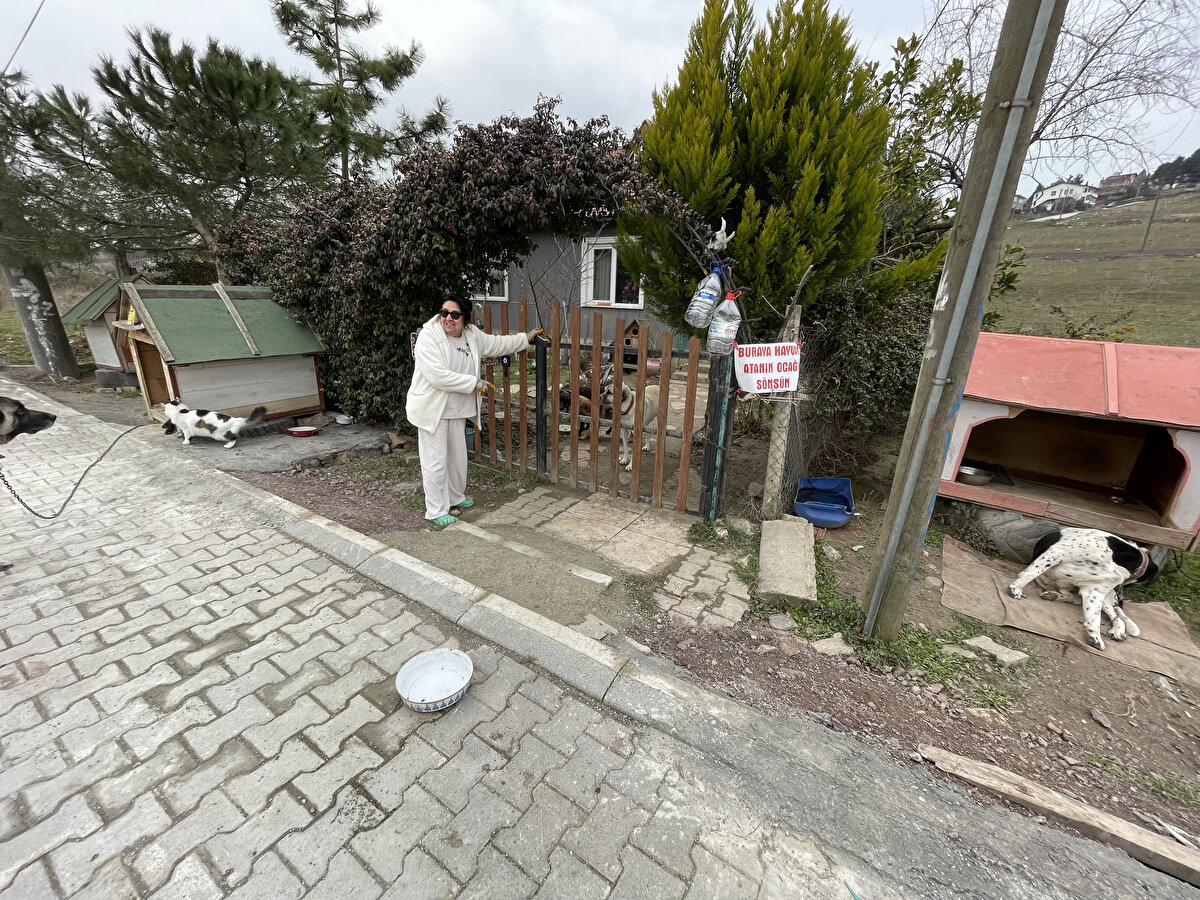 Emekli maaşını hayvanların bakımı ve beslenmesine harcadığını anlatan Bölen, şöyle konuştu:<br><br>