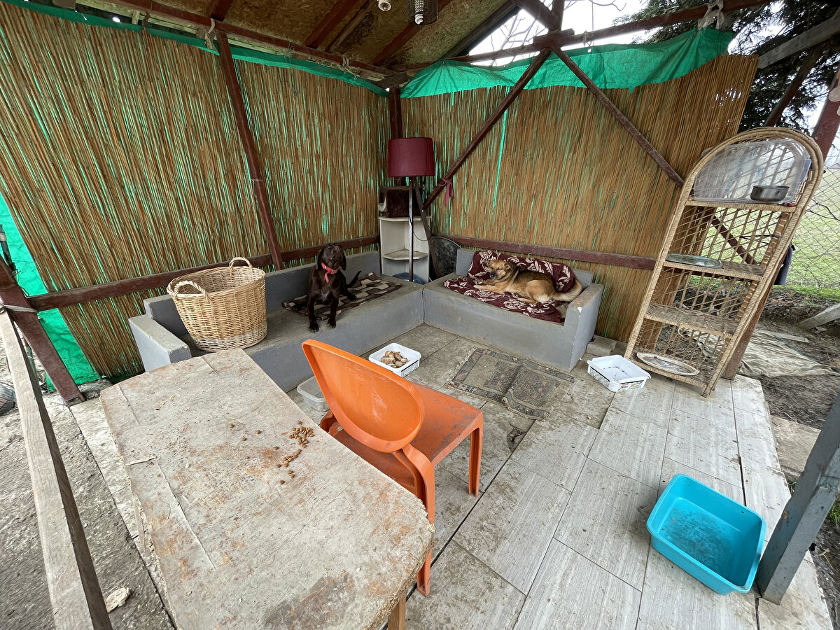 Henüz küçük yaşlarda ailesinin verdiği hayvan sevgisiyle büyüyen ve sokakta bulduğu yaralı hayvanları iyileştirmek için gayret eden Bölen, emekli olduktan sonra yerleştiği Yalova'da da sahipsiz hayvanlara gücü yettiği kadarıyla bakmaya başladı.<br><br>