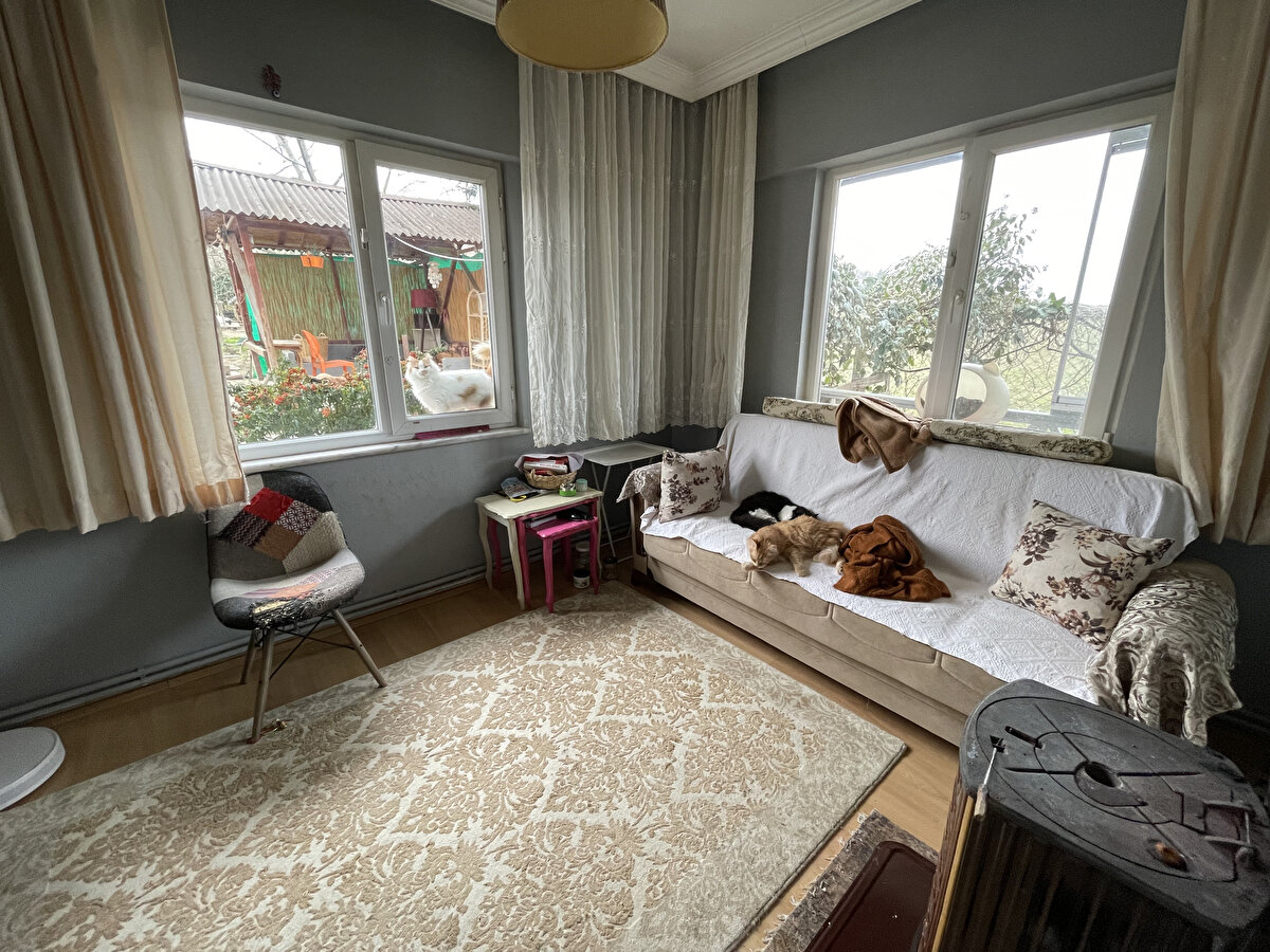 Hayvanlarının isimlerini tek tek bilen, henüz birkaç aylıkken bulduğu iki gözü görmeyen "Mars"ı tanıtan Bölen, elleriyle beslediği kedisine kendi odasında baktığını söyledi.<br><br>