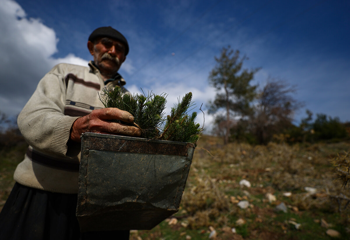 'Fidan dede' 35 yılda 550 bine yakın fidanı toprakla buluşturdu